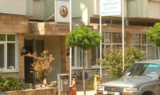 Orman İşletmesi Müdürlüğü’nün satış ihalesine katılan olmadı