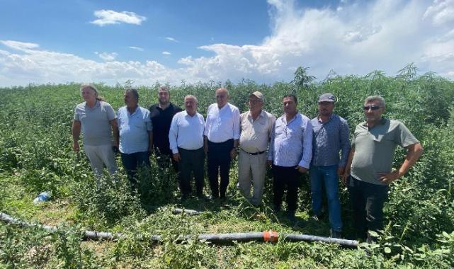 PANKOBİRLİK: Önümüzdeki yıl sanayi alt yapısına başlayacağız