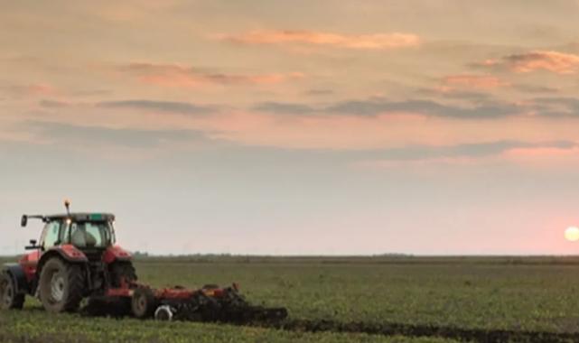 Planlı üretime kapsamlı destekleme