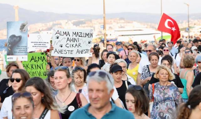 Sahipsiz hayvanlar için sesler Mudanya’dan yükseldi
