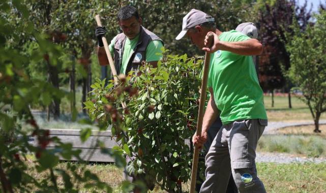 Sakarya’nın dört bir yanında estetik çalışmalar