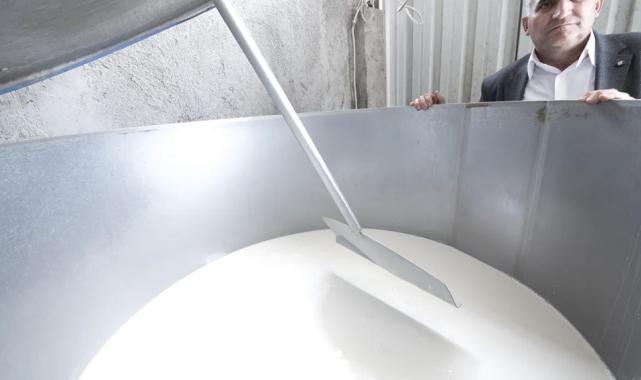 Süt fiyatlarında düşüş başladı