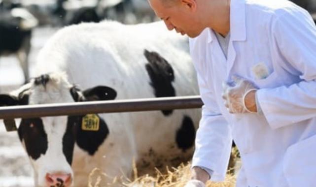 Tarımsal girdi aylık ve yıllık arttı!