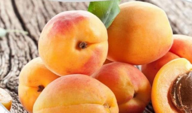 Tescilli kayısılar 12 Temmuz’da yarışacak