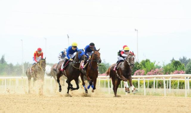 TSYD Bursa Koşusu’nu Colour of Light kazandı
