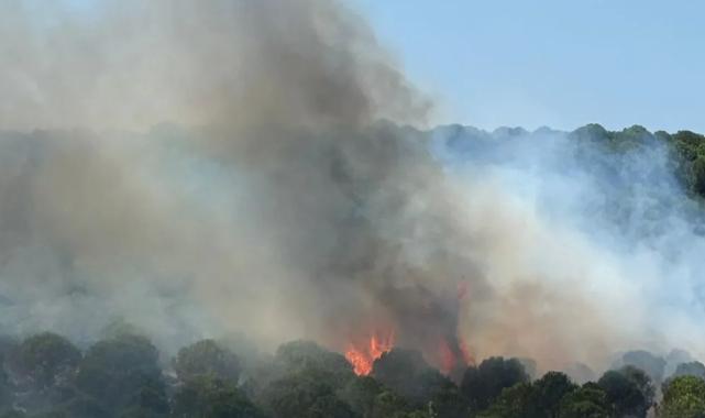 Yalova Armutlu’da iki ayrı noktada yangın! Müdahale sürüyor
