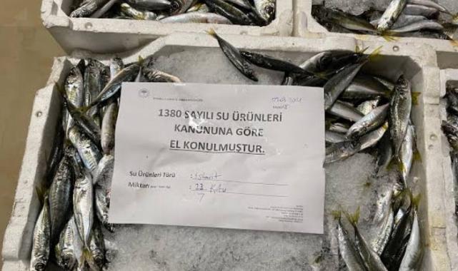 Yediemin’deki su ürünleri kaçıranlara hapis cezası!