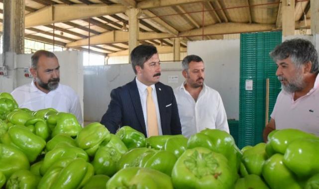 Yenişehir Biberi’ne yeni pazar arayışı