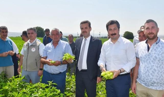 Yenişehir Biberi’nin marka değeri artacak
