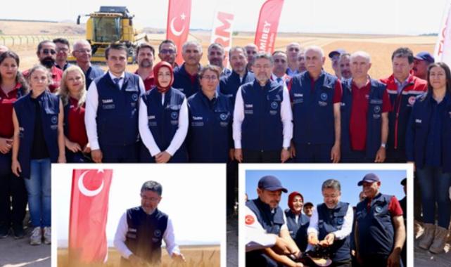 Yerli ve milli buğday çeşitlerine hasat