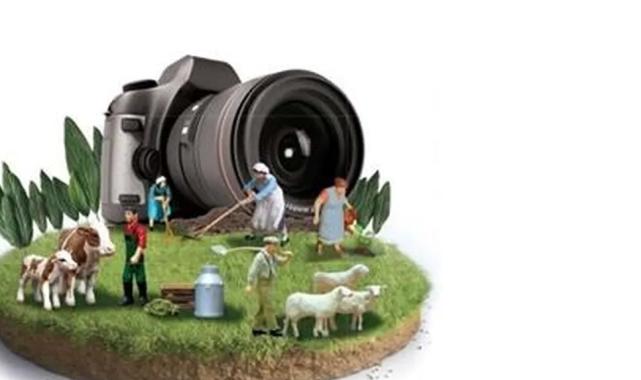 14. Uluslararası Tarım, Orman ve İnsan Fotoğraf Yarışması’na başvurularda son günler