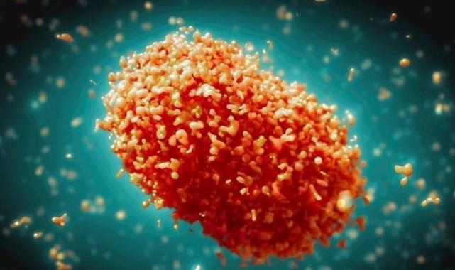 80 Öncesi Aşı Olanlar Maymun Çiceğinden Korunuyor