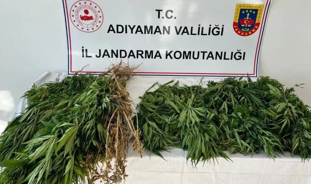 Adıyaman’da kenevire 3 gözaltı