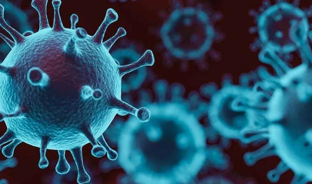 Bakanlık açıkladı… Türkiye’de ‘M Çiçeği’ne rastlanmadı!