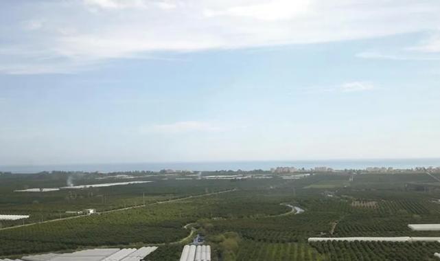 Başkan Geyikçi: “Böyle devam ederse sofraya koyacak ürün bulamayacağız”