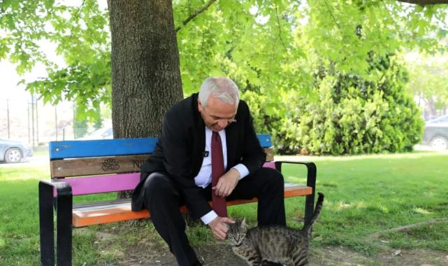 Başkan Şadi Özdemir’den sokak hayvanları açıklaması