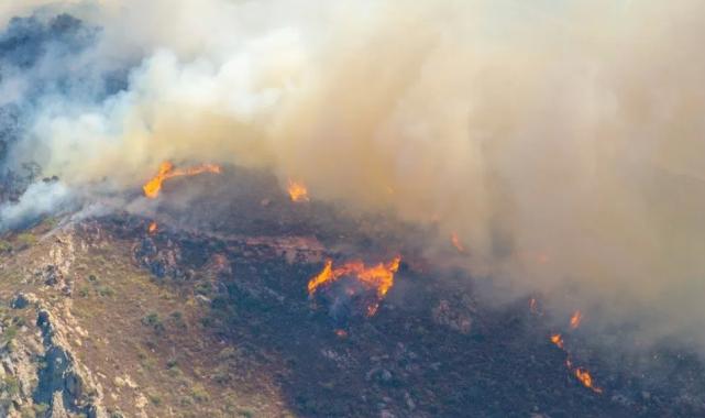 Başkan Tugay’dan yangın raporu