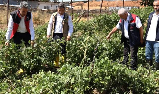 Bilecik Pazaryeri’nde yağıştan zarar gören arazilere yakın mercek