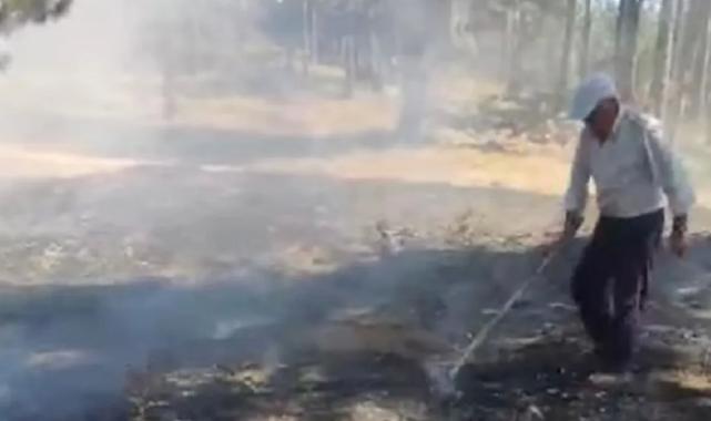 Bilecik’teki orman yangını korkuttu