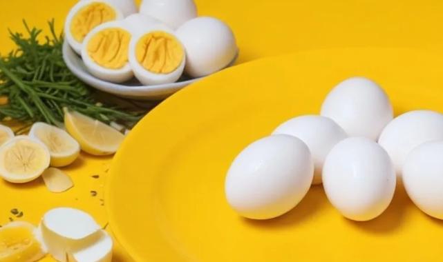 Biz Rumeliyiz Platformu’ndan ‘yumurta’ önerisi