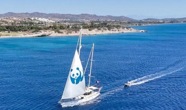 ‘Blue Panda’ Mavi Ormanlar için Türkiye’de