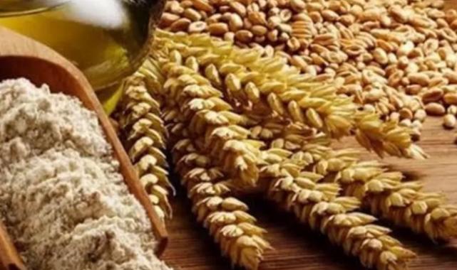 Bursa Büyükşehir’den ‘Siyez Buğdayı’ alım desteği