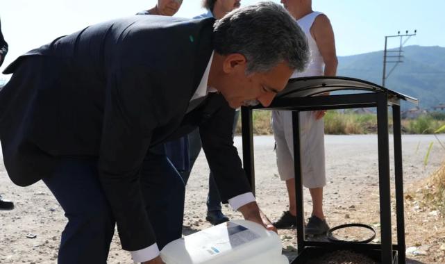 Bursa Gemlik’te sokaktaki canlara beslenme takviyesi