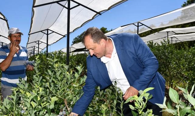 Bursa İznik tarımı için önemli adım