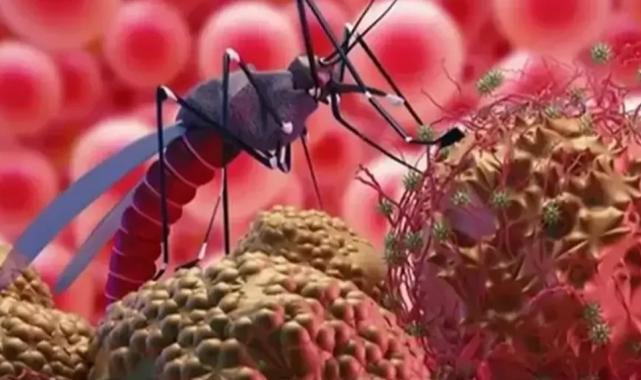 Bursa’da Batı Nil Virüsü tehlikesi büyüyor