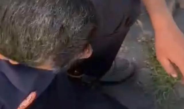 Büyükşehir İtfaiyesi, tehlikeye düşmüş tüm canlılara yardım elini uzatıyor