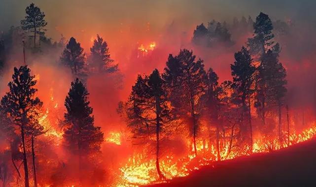 ÇEKÜL’den orman yangınlarıyla mücadelede yol haritası