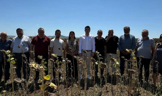 CHP Keşan: Belirlenen ayçiçeği ile ilgili ön alım fiyatı insafsızlıktır