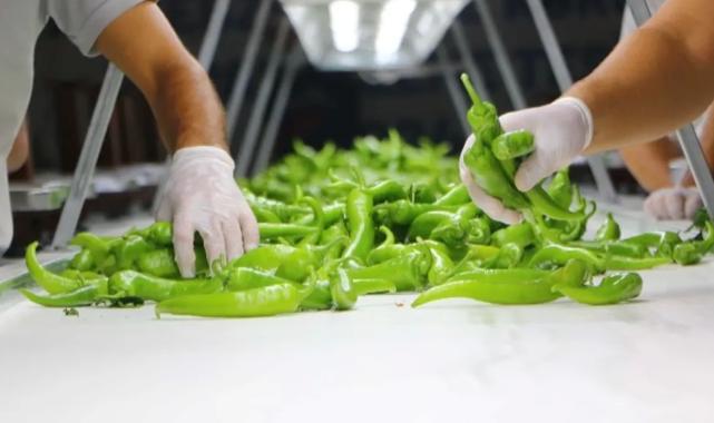 Çiftçilerin kayıpları en aza indirilecek