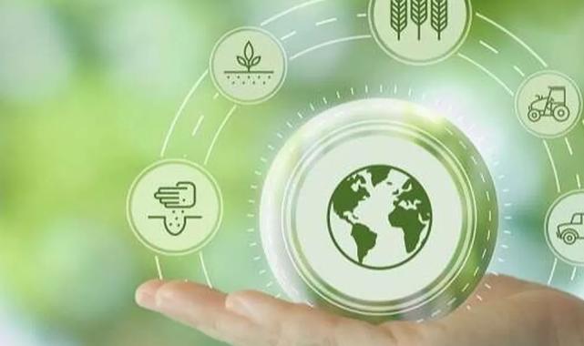 Çin’den karbon ayak izi hamlesi