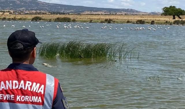 Edirne Jandarması Gala Gölü’nü koruyor