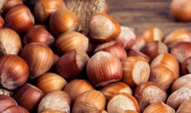 Fındık alım fiyatları belirlendi