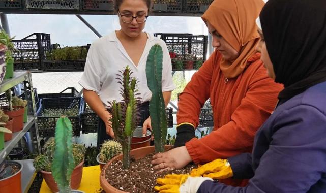Hem tohumlar hem kadınlar güçleniyor