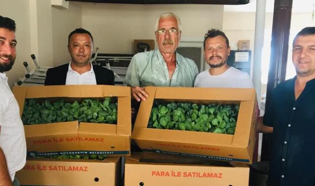 İzmit’te 500 bine yakın lahana fidesi dağıtıldı