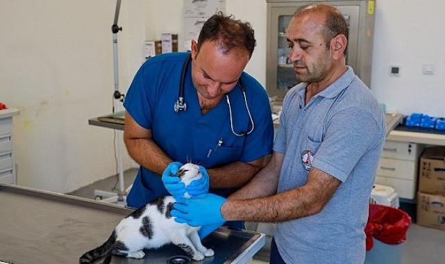 Karşıyaka’da yangından kurtarılan can dostlar emin ellerde