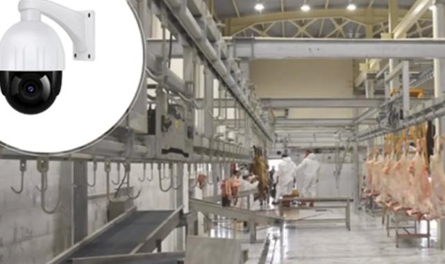 Kesimhanelere kamera zorunluluğu!