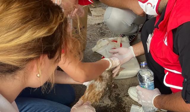 Kızılay Konak Şubesi’nden yangın seferberliği