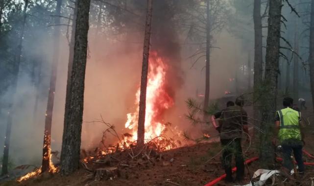 Muğla Büyükşehir orman yangınlarında tüm gücüyle sahada