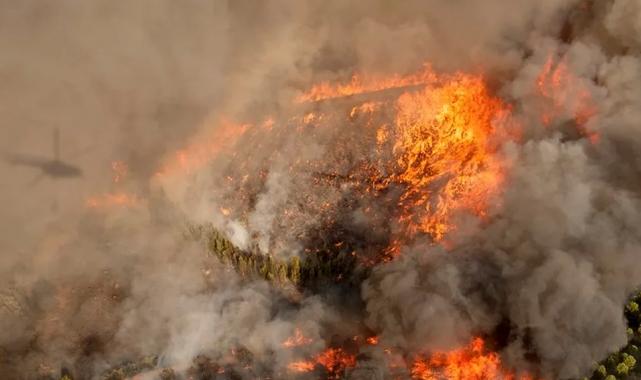 Orman yangınlarını önlemek işbirliği ile mümkün