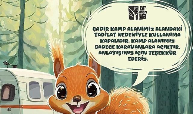 Ormanya kamp alanında yenileme