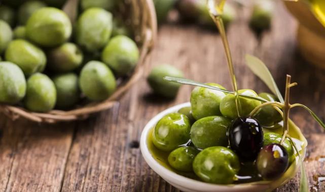 Sofralık zeytin ihracatı rekora koşuyor