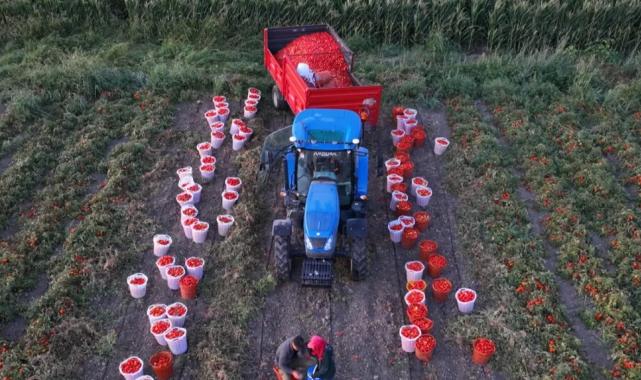 Ücretsiz sulamada hasat sevinci