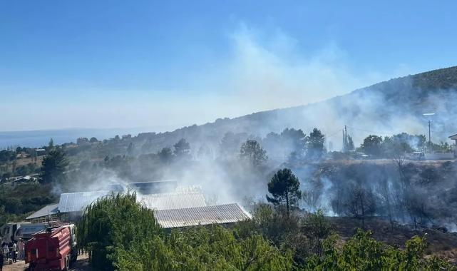 Yalova Armutlu’da orman yangını kontrol altında