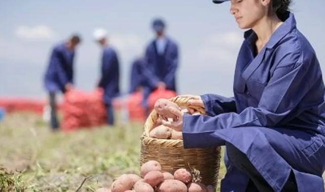 Yenileyici tarımda büyük başarı