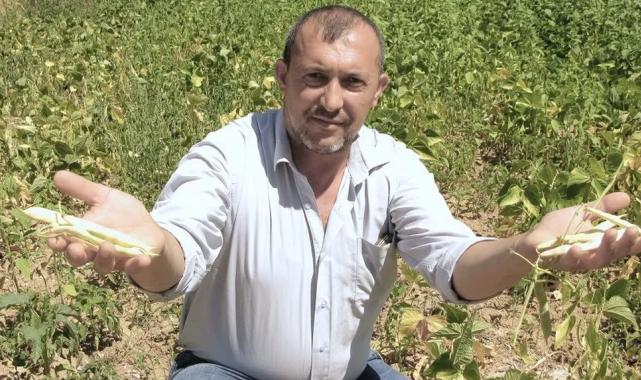 Yenişehirli çiftçiler umduğunu bulamadı