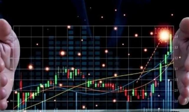 2023’te 20 bin 110 mali aracı kuruluş faaliyette bulundu